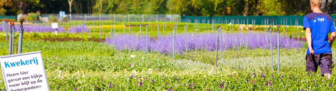 Eigen kwekerij met een breed assortiment