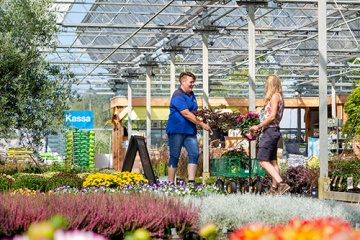 Welkom bij GreenSales Balk - Jouw Tuinplantencentrum in Friesland