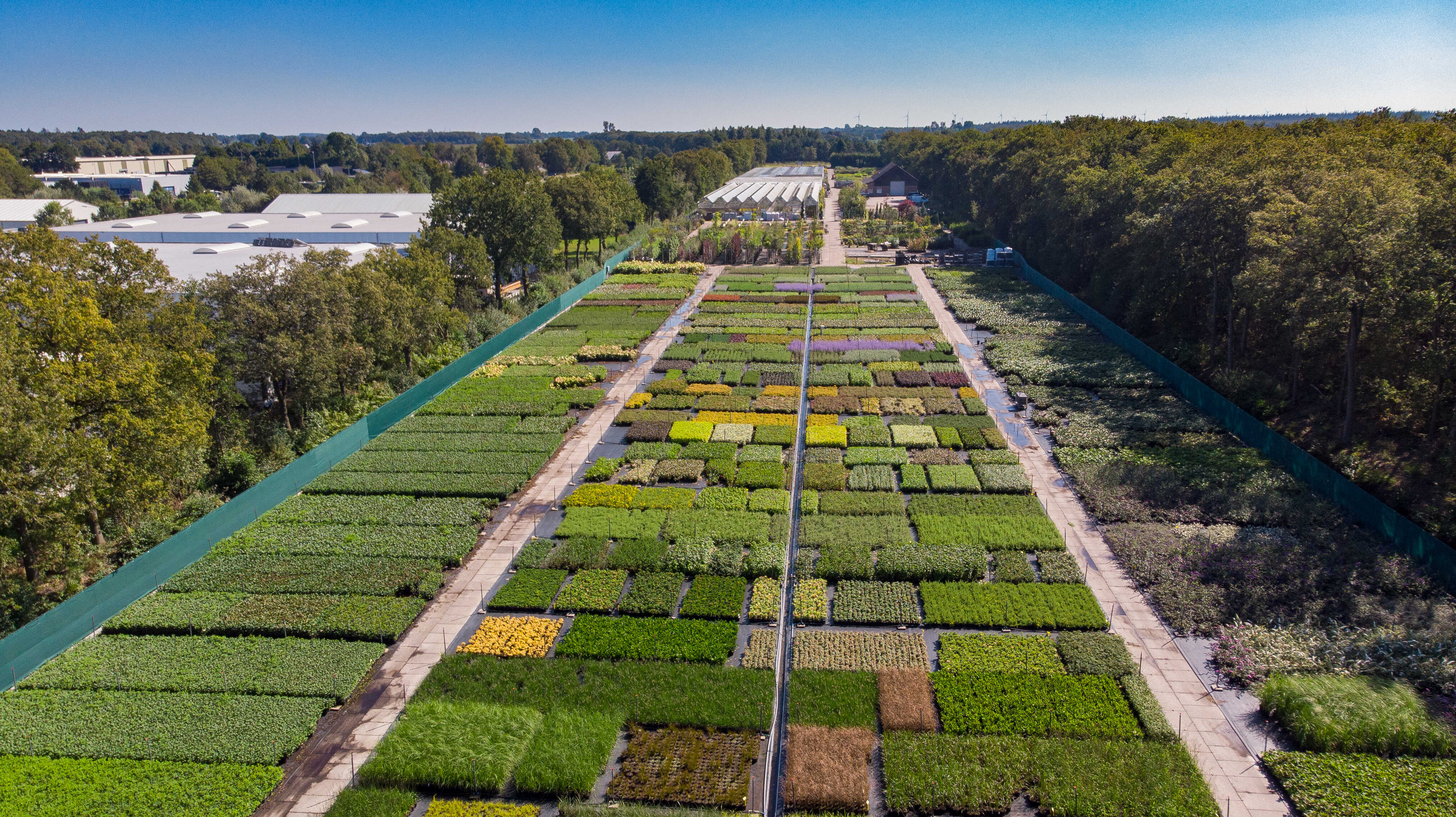 Tuincentrum groencentrum in Friesland voor hoveniers