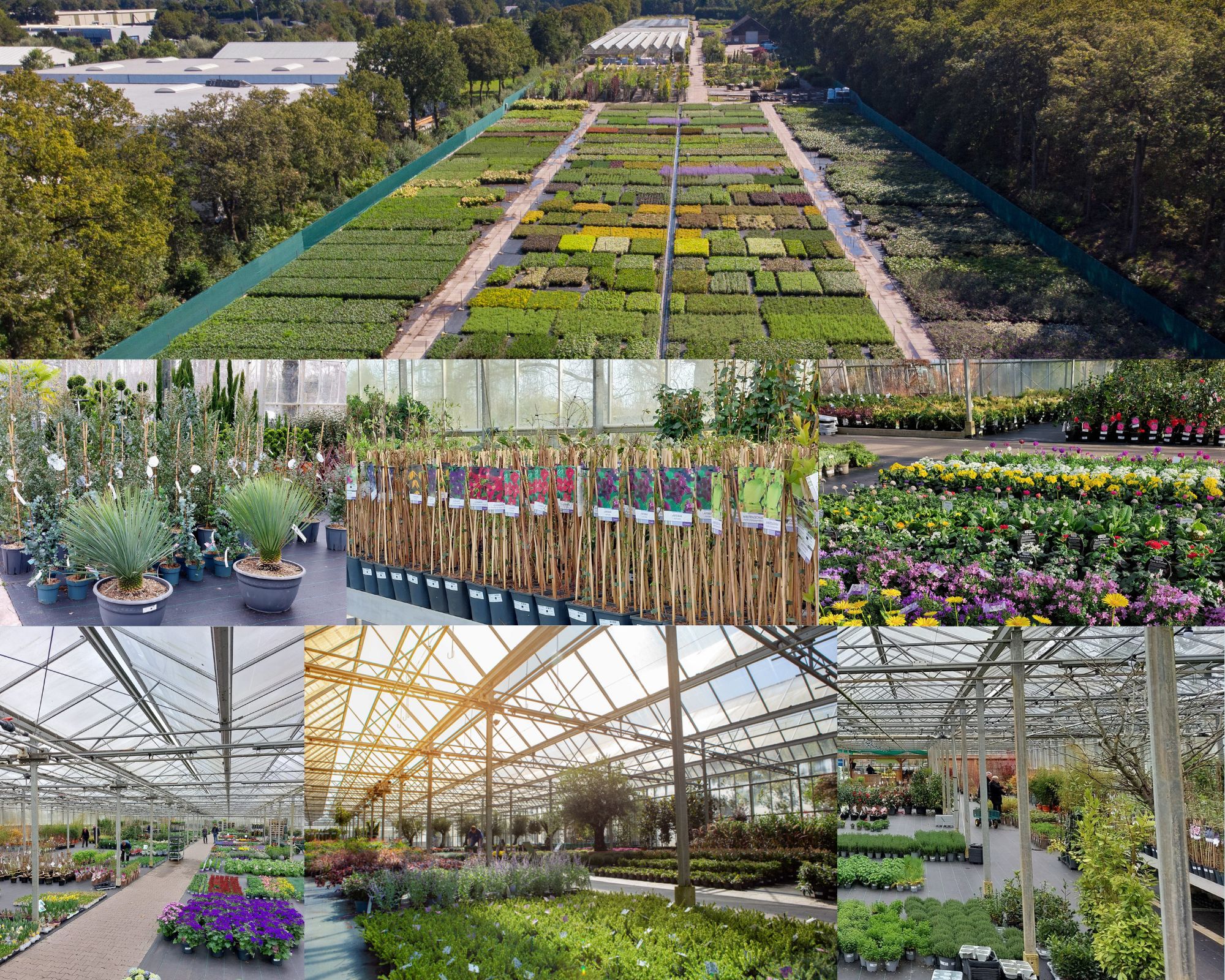 Tuincentrum greensales in Lemmer geopend tijdens koningsdag 2024 openingstijden 09:00 tot 16:00 uur
