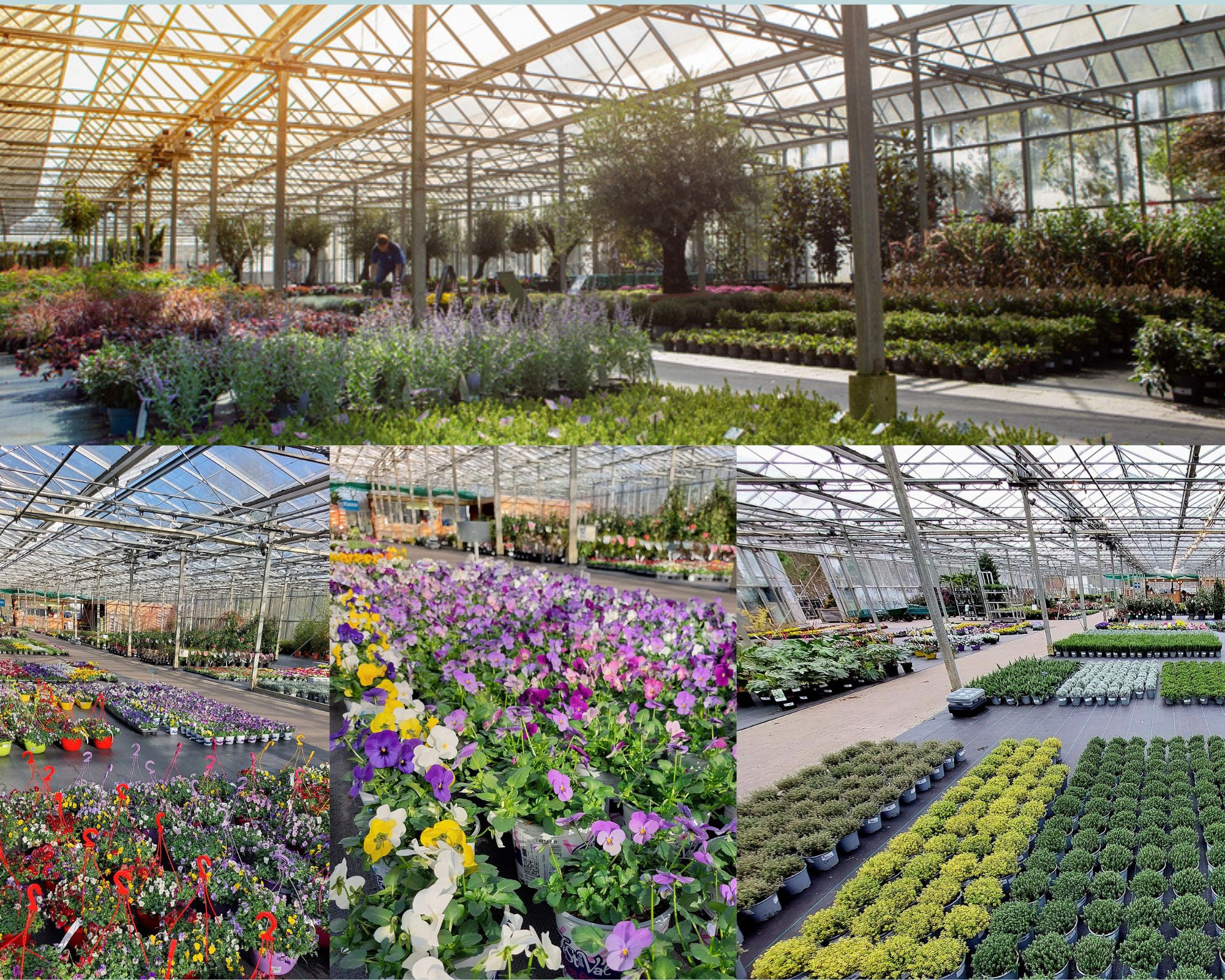 Tuincentrum koningsdag openingstijden geopend in Woudsend